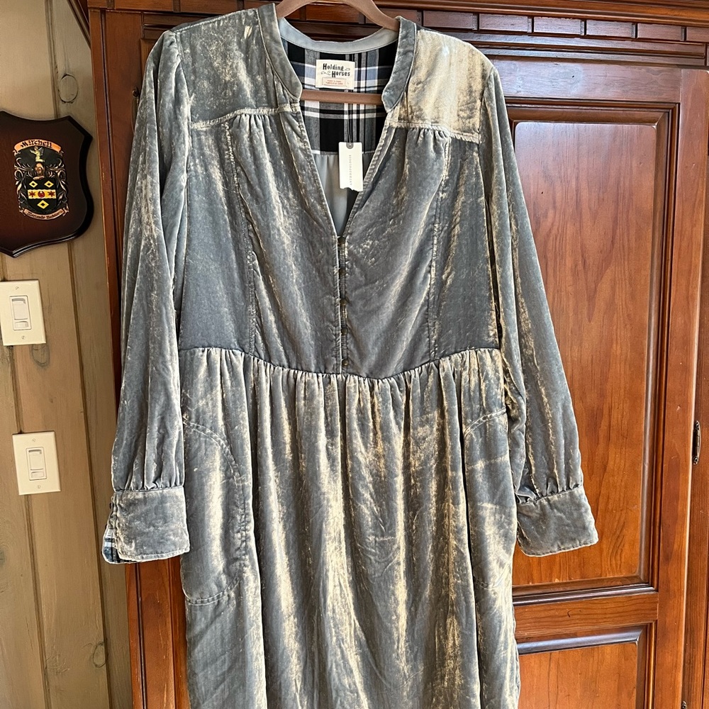 Holding Horse (Anthropologie) Velvet Dress